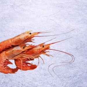 Premium Argentine Red Shrimp | Pleoticus muelleri