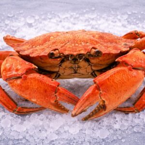 Whole Cooked Chilean Crab | Premium Cancer spp.