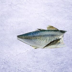 Jack Mackerel HGT | Trachurus murphyi (Headed, Gutted & Tail-Off)
