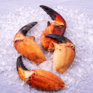 Jumbo Chilean Crab Claws | Premium Cancer spp.