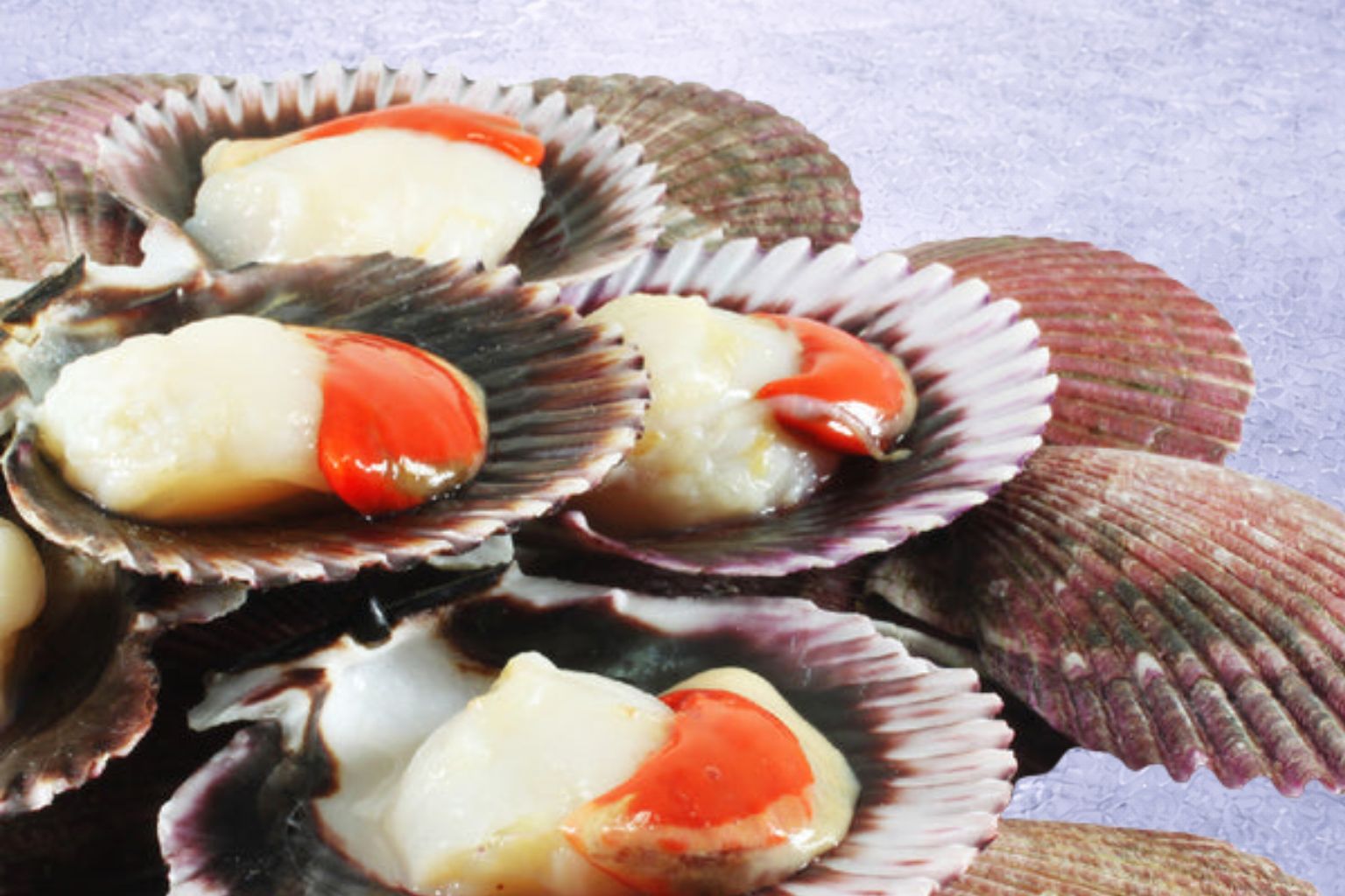 Premium NW Atlantic Scallops | Placopecten magellanicus