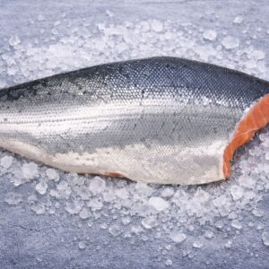 Premium Coho Salmon | Oncorhynchus kisutch