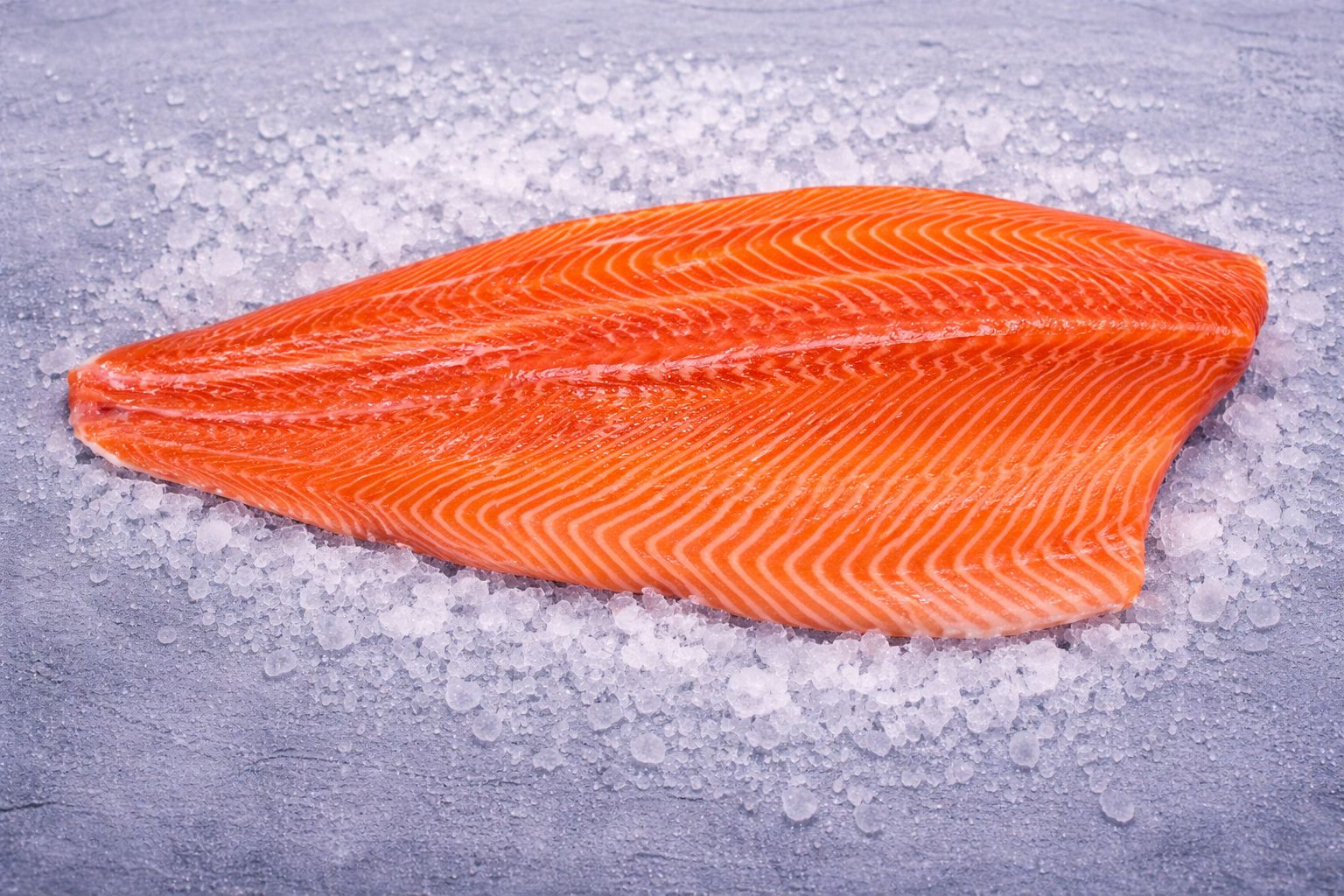 Salmón Coho Premium | Oncorhynchus kisutch - Imagen 4