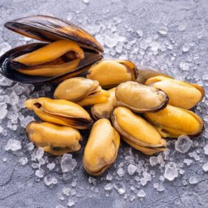 Mussel